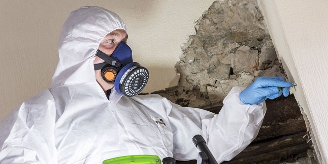 Choosing the Right Asbestos Removalist: Tips and Recommendations
